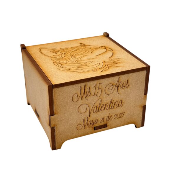 Caja 15 Años Gato - Imagen 3